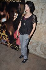 Shilpa Shukla at the Special Screening of BA Pass in lightbox, Juhu, Mumbai on 10th May 2013 (26).JPG